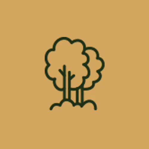 کود شیمیایی