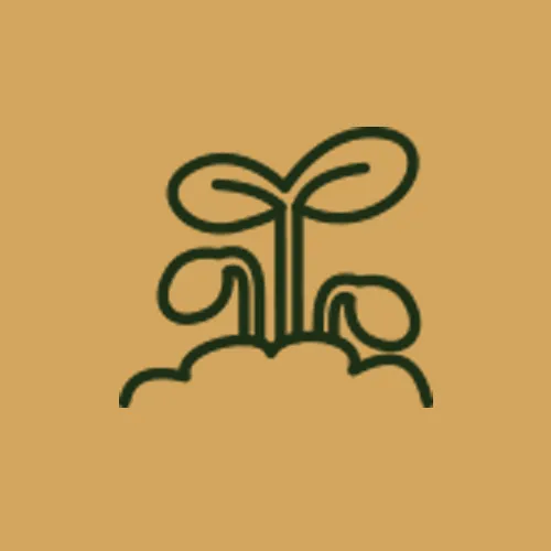 حشره کش
