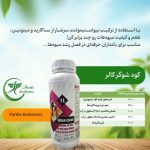 شوگر کالر