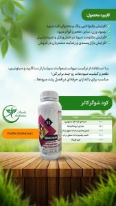 شوگر کالر