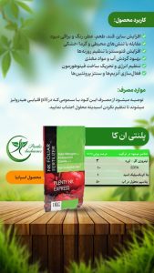 پلنتی NK اکسپرس