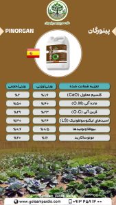 پینورگان - Image 2