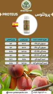 پروتئوس - Image 2