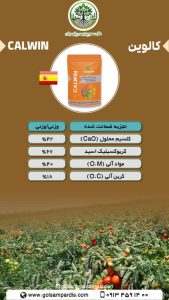 کالوین - Image 2
