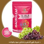 ماکرولیف  NPK12-48-8+TE+۳SW