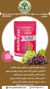 ماکرولیف  NPK12-48-8+TE+۳SW