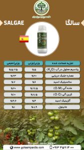 سالگا - Image 2
