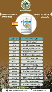 ماکروسول  NPK ۱۲-۱۲-۳۶+TE - Image 2