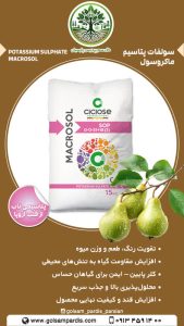سولفات پتاسیم ماکروسول