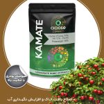 کامیت