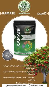 کامیت