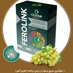 فرولینک 4.8