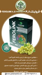 فرولینک 4.8