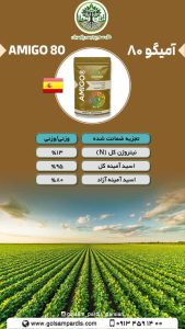 آمیگو 80 - Image 2