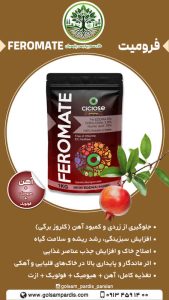 فرومیت