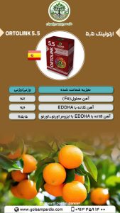 اورتولینک 5.5 - Image 2