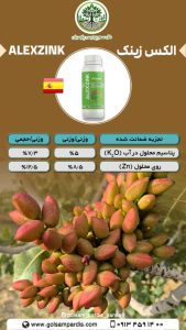 الکس زینک - Image 2