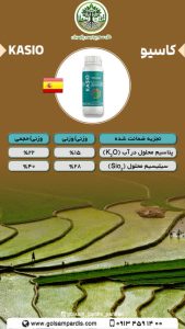 کاسیو - Image 2