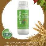 الکس زینک