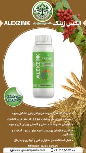 الکس زینک