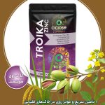 تروئیکا زینک
