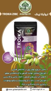 تروئیکا زینک