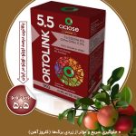 اورتولینک 5.5