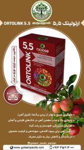 اورتولینک 5.5
