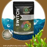 سوئیچ