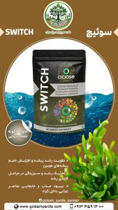سوئیچ