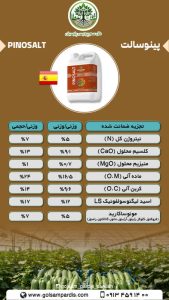 پینوسالت - Image 2