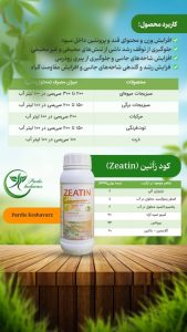 زآتین
