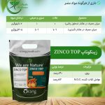 زینکوتاپ و زینکوتاپ ماکسیم