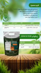 زینکوتاپ و زینکوتاپ ماکسیم