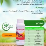 ویتازایم