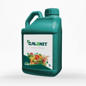 کالونیت